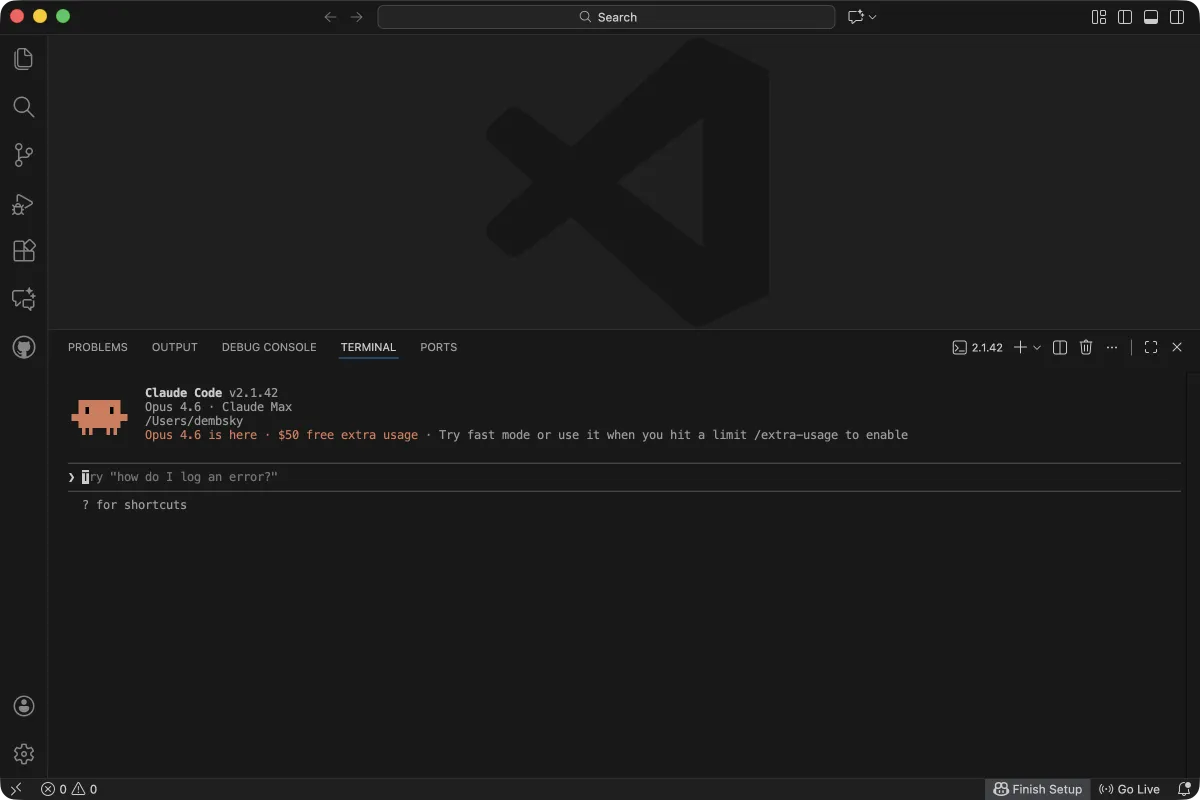 Claude Code fully set up and ready for input in VS Code terminal
